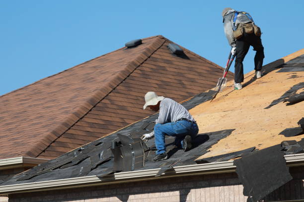 Best Gutter Installation and Repair  in Columbia, MO